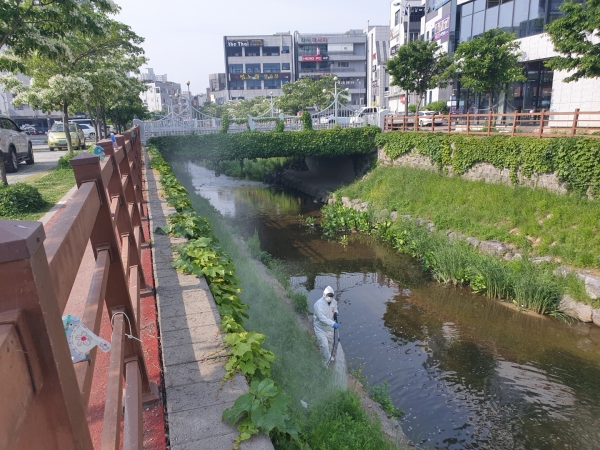 서산 호수공원  하천변 방제장면