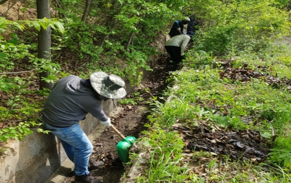 배수로 퇴적물제거 작업 실시 모습