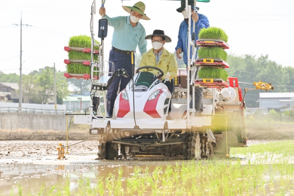 2021년도 모내기 사진