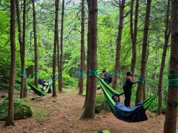 2일 경북 영주시 봉현면 국립산림치유원에서 진행된 외국인 대상 산림치유 프로그램에 참여한 고객들이 숲치유(Forest therapy)를 체험하고 있다