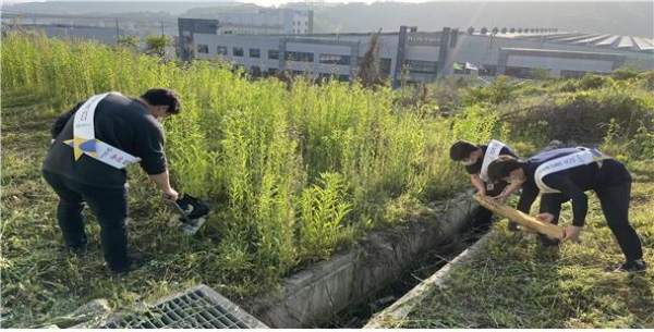 세종시설관리공단 산단 환경정화활동