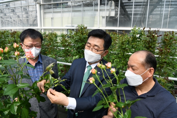 화훼 수출 전문업체 현장 순시  * 한국농수산식품유통공사 김춘진 사장(가운데), (주)로즈피아 정화영 대표이사(왼쪽), 이광진 전무이사(오른쪽)