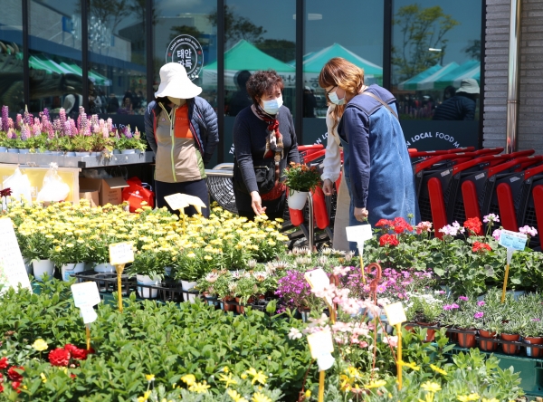 태안 로컬푸드직매장 꽃시장 모습