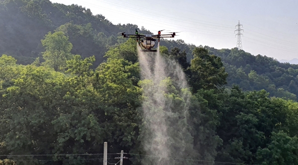 돌발해충 협동방제 모습
