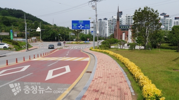 황금사철나무가 식재된 모습