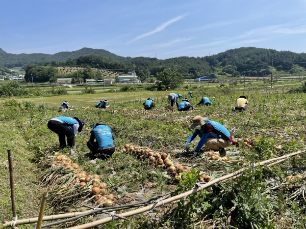 5월, 6월을 농번기 일손돕기 집중 추진기간으로 정하고 지금까지 전국 80개부서 1,168명의 직원이 농가에서 일손을 도왔다.