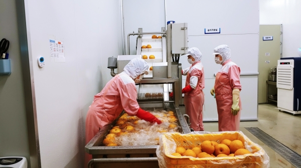아산시농산물종합가공센터 가공품 생산 장면