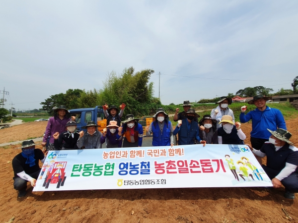 충남 당진 석문농협과 농촌일손돕기