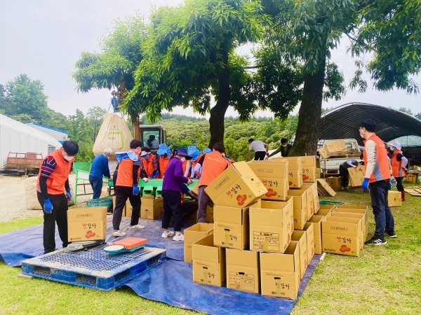 15일 대덕구 미호동 소재 감자 재배 농가를 찾아 농촌일손돕기를 실시