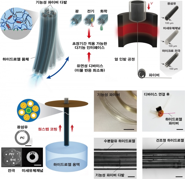 하이드로젤 기반 하이브리드 뇌-기계 인터페이스 개요 및 제작과정