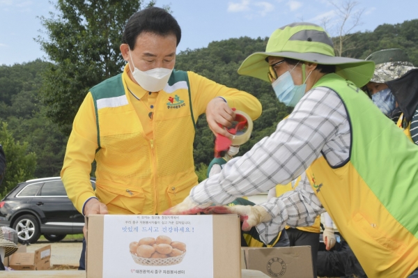 침산동 행복나눔농장에서 진행한 자원봉사센터 및 중구사랑포럼 자원봉사단의 감자수확 모습