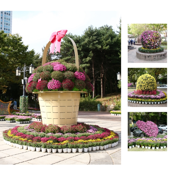 지난해 열린 제11회 유성 국화전시회