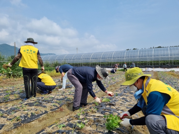 대전시 유성구 용계동 찾아 농촌일손돕기 실시