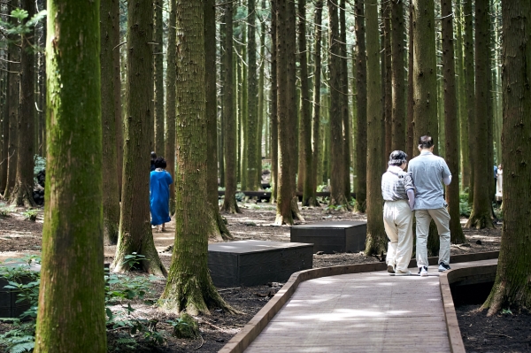 무장애나눔길 조성사업(제주도 서귀포시 사려니숲)