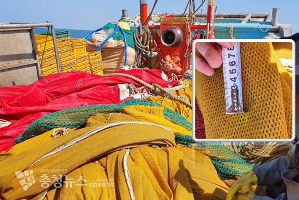 그물코 규정 이하 세목망 불법어구 적재 현장 단속 모습 사진=태안해양경찰서