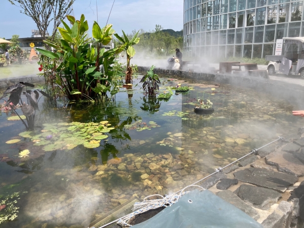 여름 국립세종수목원