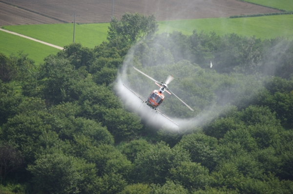 밤나무 해충 항공방제 7월 20일~26일 실시