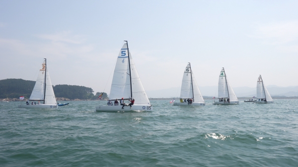 요트대회 예선전 경기 장면