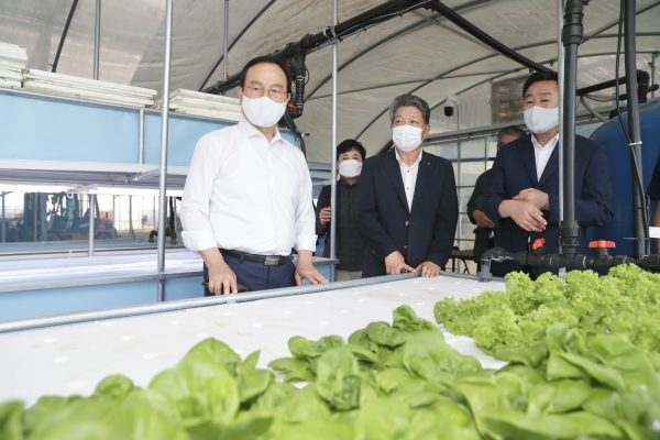 박상돈 천안시장이 지난 20일 동천안농협 스마트팜 시범농장을 방문 모습
