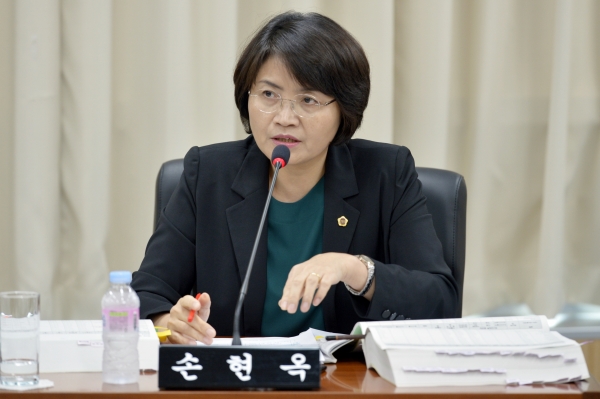 손현옥 세종시의원