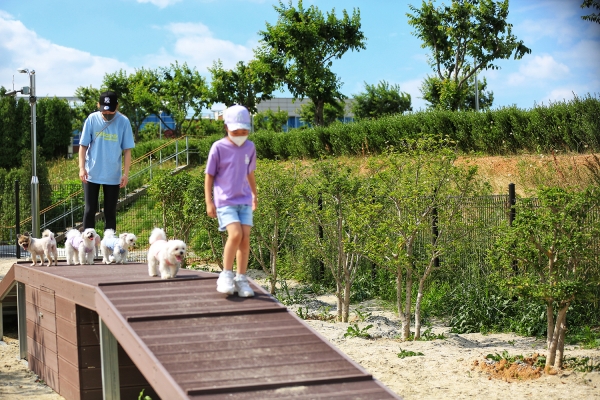 시민들이 반려견 놀이터를 이용하는 모습