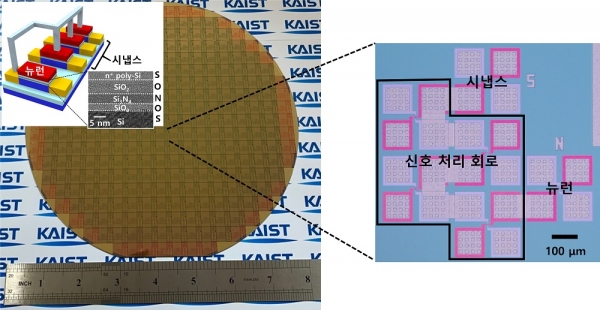 상용화된 CMOS 공정으로 제작된 단일 트랜지스터 기반 뉴런과 시냅스