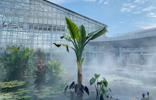 사계절 온실 입구 수련지 워터바나나