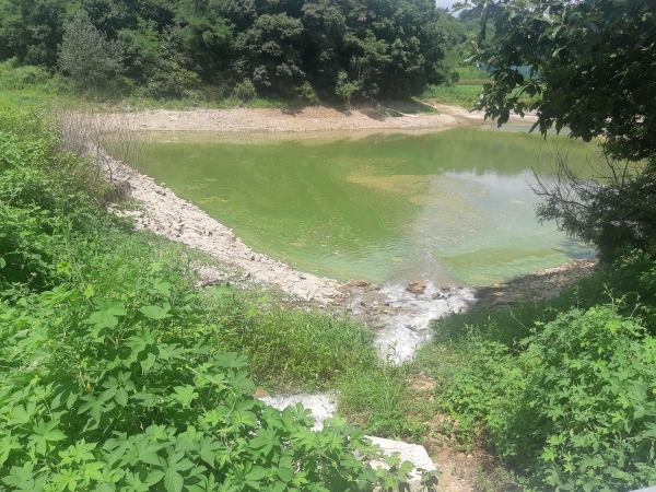 천안시 동면 6개 저수지 농업용수 공급을 위해 양수장 가동 모습