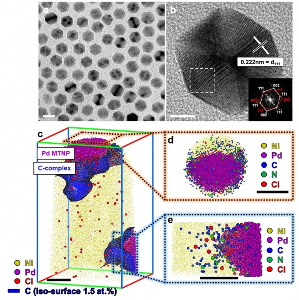 투과 전자현미경과 원자 단층 촬영 현미경으로 분석한 팔라듐 나노입자와 리간드 분포