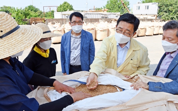 한국우리밀농업협동조합 국산 밀 수매 현장 * 한국농수산식품유통공사 김춘진 사장(오른쪽 두번째)
