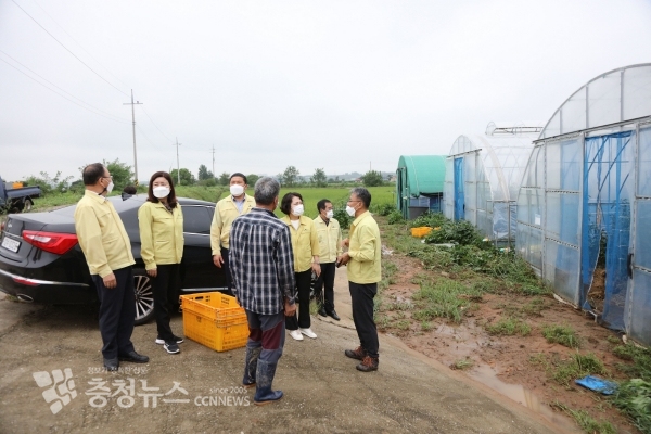 서산시의회 의원들이 지난 1일 폭우로 농작물 침수 피해를 입은 농가주로부터 피해 상황에 대한 설명을 듣고 있다.