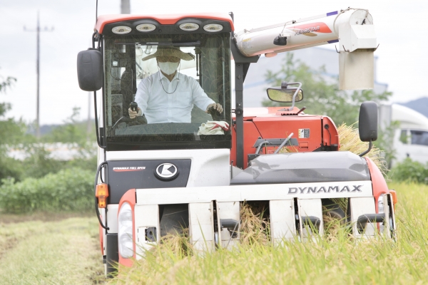박상돈 천안시장 첫 벼베기 시연 현장 모습