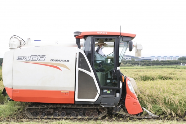 천안시 첫 벼베기 현장 모습