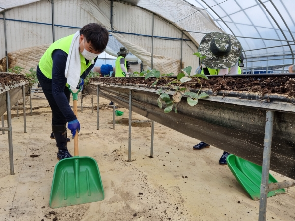 충남세종농협과 농협당진시지부, 순성농협 임직원들이 집중호우로 인근 하천이 역류해 수해가 발생한 시설하우스농가를 찾아 긴급복구 자원봉사활동 모습