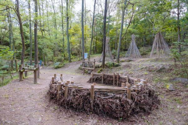 태학산 유아숲체험원