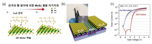 자가치유 반도체 소자 모식도