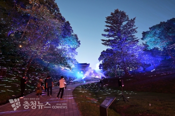 공산성 미디어아트 사진