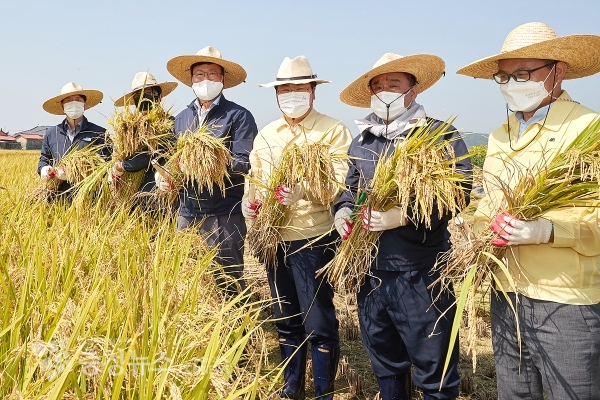 '해맑은벼' 첫 수확