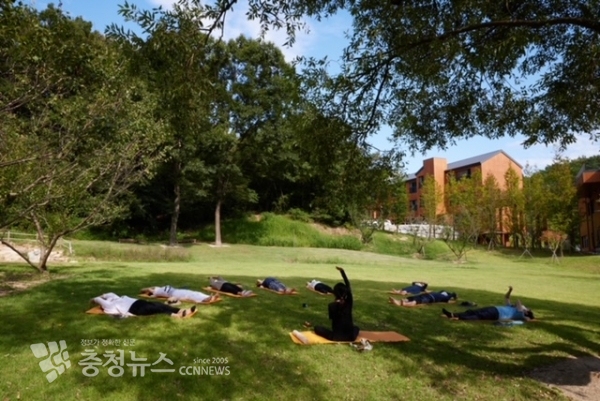 ‘장애인 보호자 숲케어 캠프’ 참가자(보호자)들이 8월 19일 대전 유성구 숲체원로 국립대전숲체원 잔디관장에서 통나무 명상 프로그램에 참가해 휴식 시간을 갖고 있다. 산림청 한국산림복지진흥원 제공