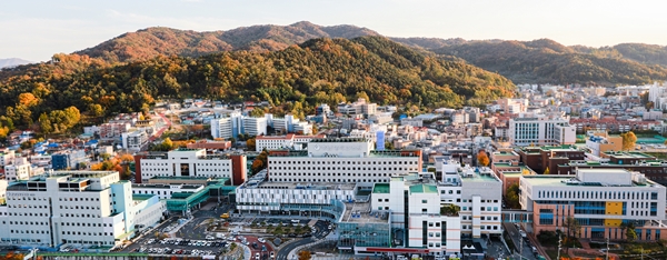 충남대학교병원 전경