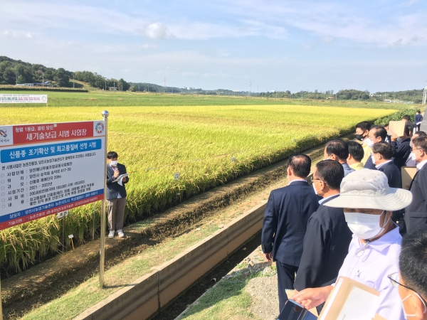 당진 쌀 품종선발 현장 평가회 개최 모습