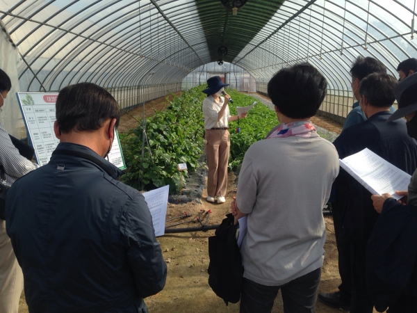 아열대작물 특성 설명 사진