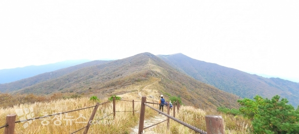 지난주 촬영한 소백산 연화봉에서 비로봉 구간 전경