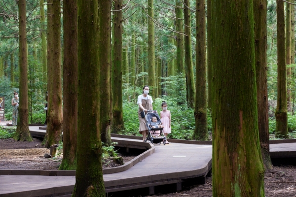 2020 제주도 서귀포시 사려니숲 무장애나눔길