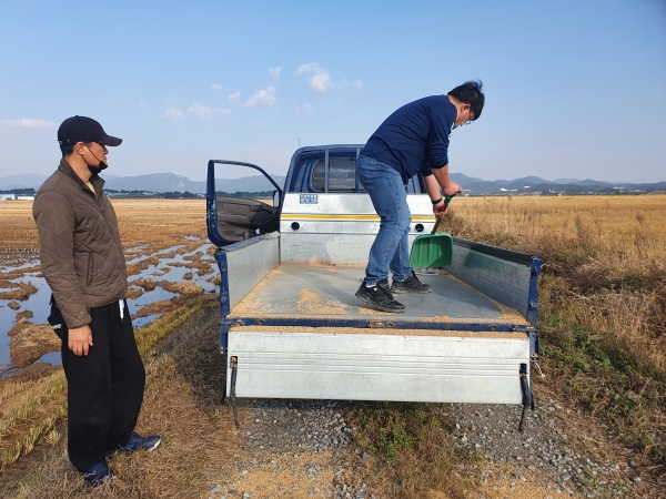 20일 천수만 지역에서 시작된 겨울철새 먹이주기