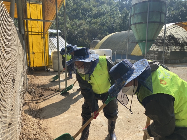 충남세종농협은 금산축협 생축장에서 충남세종지역 농·축협간 원활한 소통 문화를 만들기 위한 『계통 간 하나 되기 실천』행사 실시