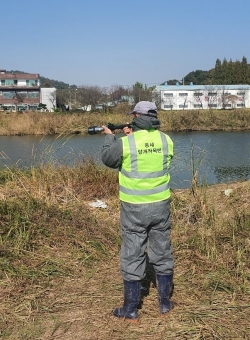 AI 유입원인 철새퇴치를 위해 레이저 작업을 실시하고 있다.