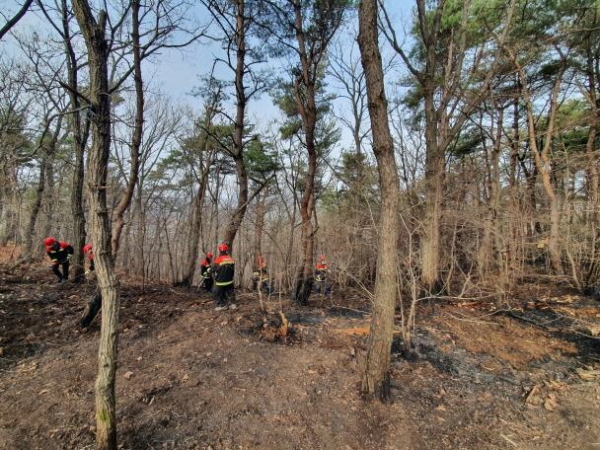 산불전문예방진화대 산불진화 장면