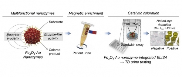 자성-플라즈모닉 나노자임을 기반한 진단센서의 개요도