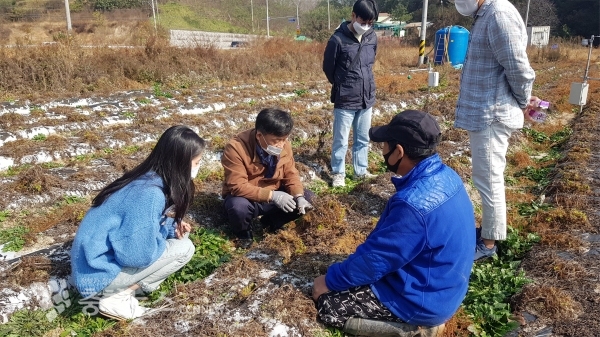 천궁 재배농가 컨설팅 모습